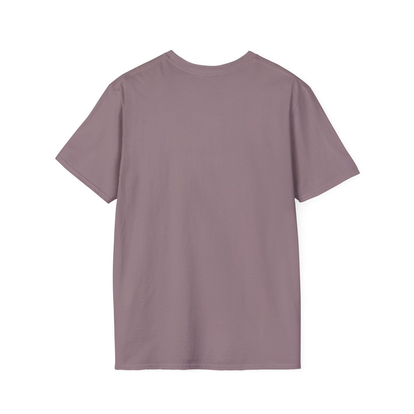 Lets Talk About Color (Colorway 2) - Soft Style T-Shirt