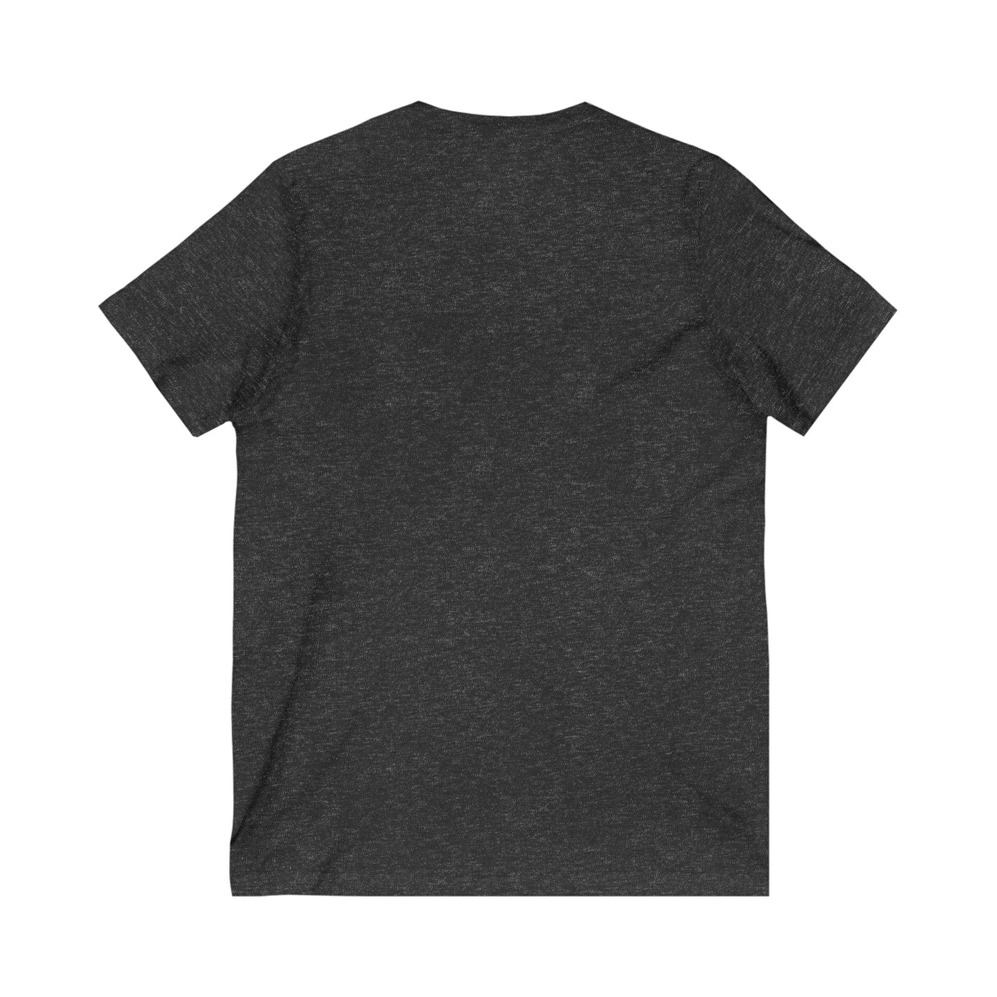 Lets Talk About Color (Men's V-Neck Tee)